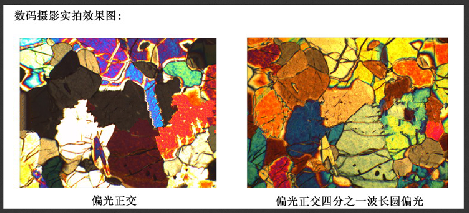 成像图中文.png
