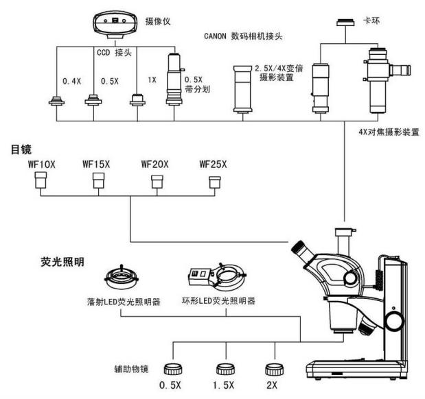 结构图1.png