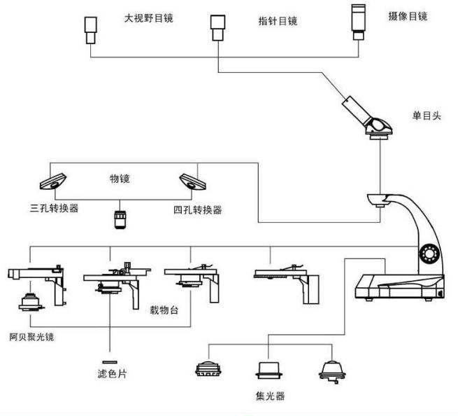 结构图.png