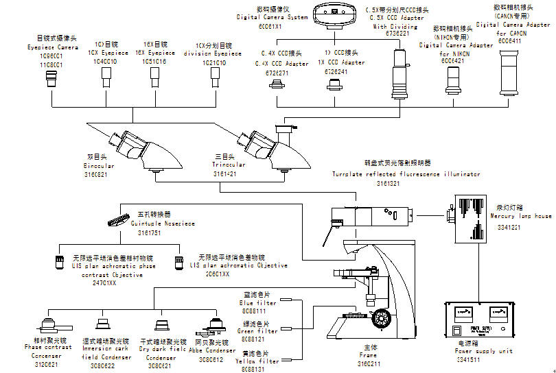 结构图中文.jpg